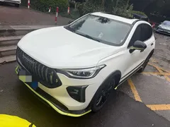 2021 Haval Chitu 1.5T Jiqing Platinum Rabbit, белый — фото 1