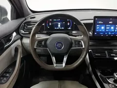 2024 BYD Qin PLUS Honor DM-i PHEV 55km Leading — фото 11