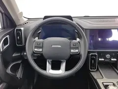 2021 Haval Dargo 1.5T DCT 2WD, белый — фото 11