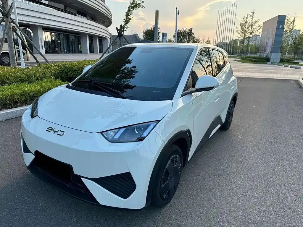 2024 BYD Seagull Honor 305km Vitality