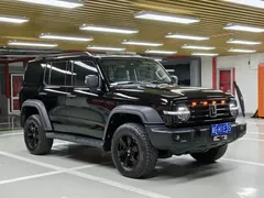 2021 Tank 300 Off-road 2.0T Conqueror, чёрный — фото 3