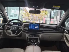 2023 BYD Qin PLUS Champion DM-i PHEV 55KM Leading, белый — фото 10
