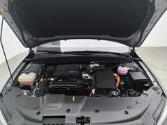 2024 BYD Qin PLUS Honor DM-i PHEV 55km Leading — фото 6