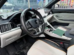 2021 BYD Song PLUS DM-i PHEV 110KM Flagship Plus — фото 7