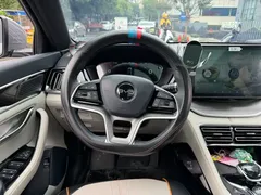 2021 BYD Song PLUS DM-i PHEV 110KM Flagship Plus — фото 14