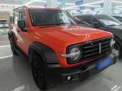 2021 Tank 300 Off-road 2.0T Conqueror — фото 4