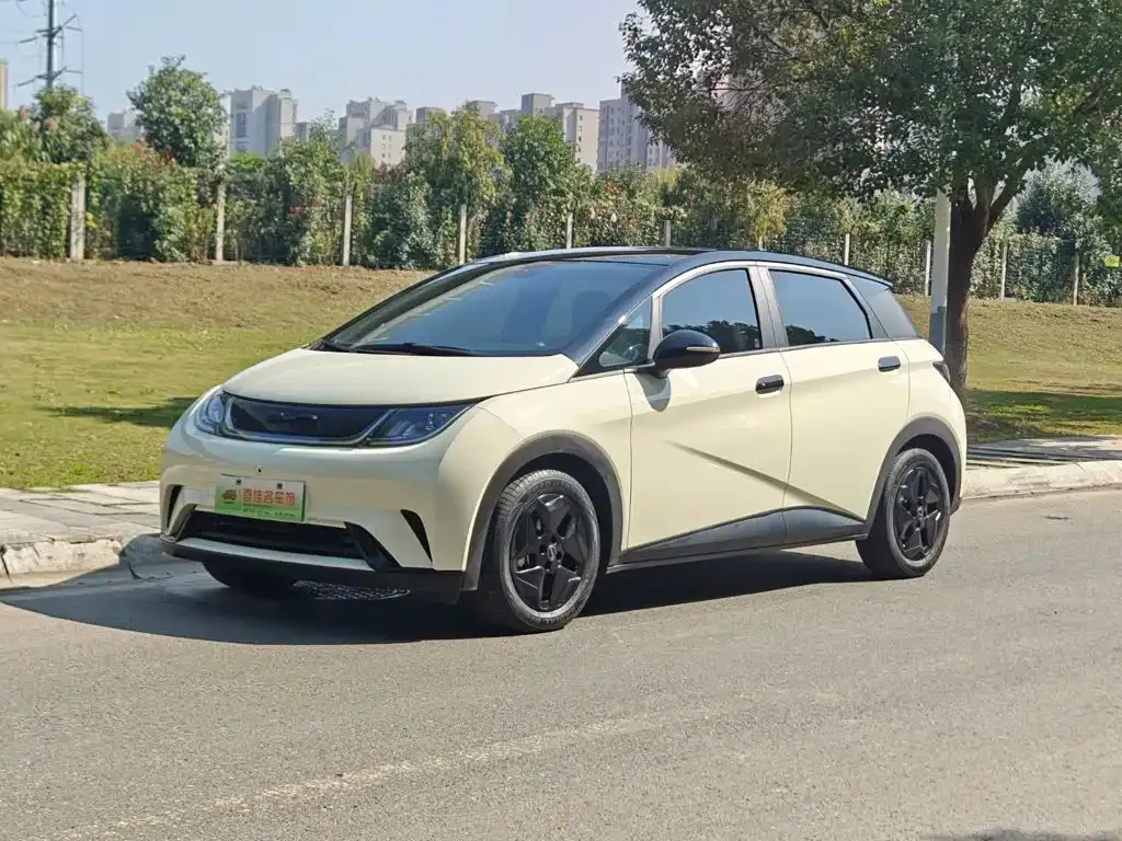 2021 BYD Dolphin 405km Fashion