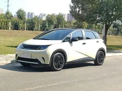 2021 BYD Dolphin 405km Fashion — фото 2