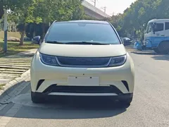 2021 BYD Dolphin 405km Fashion — фото 3