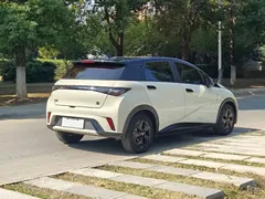 2021 BYD Dolphin 405km Fashion — фото 5