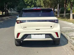 2021 BYD Dolphin 405km Fashion — фото 6