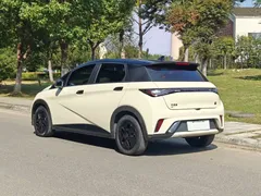 2021 BYD Dolphin 405km Fashion — фото 7