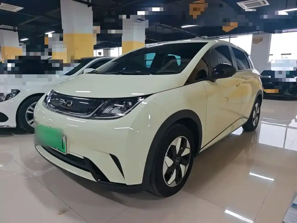 2025 BYD Dolphin Smart Driving 420km Freedom EV