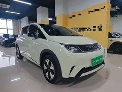 2025 BYD Dolphin Smart Driving 420km Freedom EV, белый — фото 4