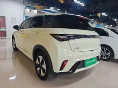 2025 BYD Dolphin Smart Driving 420km Freedom EV, белый — фото 5