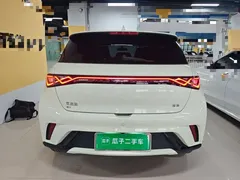 2025 BYD Dolphin Smart Driving 420km Freedom EV, белый — фото 6
