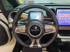 2025 BYD Dolphin Smart Driving 420km Freedom EV, белый — фото 11