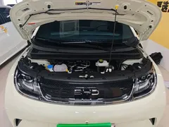 2025 BYD Dolphin Smart Driving 420km Freedom EV, белый — фото 20