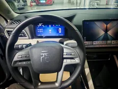 2024 BYD Yuan UP 401km Leading — фото 8