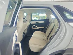 2024 BYD Yuan UP 401km Leading — фото 13