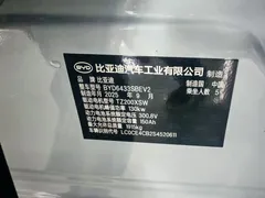 2024 BYD Yuan UP 401km Leading — фото 20