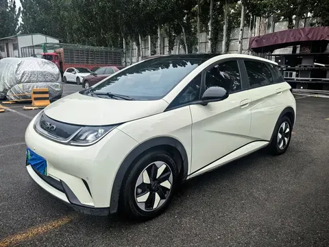 2024 BYD Dolphin Honor 420km Fashion