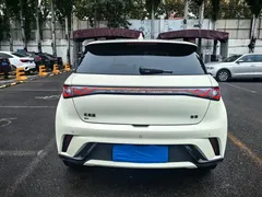 2024 BYD Dolphin Honor 420km Fashion — фото 2