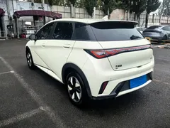 2024 BYD Dolphin Honor 420km Fashion — фото 6