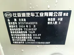 2024 BYD Dolphin Honor 420km Fashion — фото 10