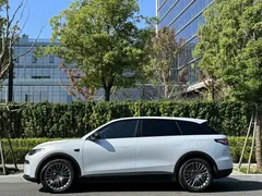 2023 Leapmotor C11 EREV 200 Comfort — фото 4