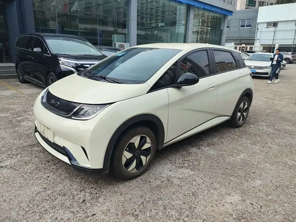 2025 BYD Dolphin 420km Freedom
