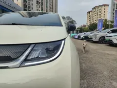 2025 BYD Dolphin 420km Freedom, белый — фото 10