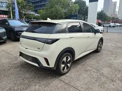 2025 BYD Dolphin 420km Freedom, белый — фото 15