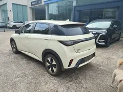 2025 BYD Dolphin 420km Freedom, белый — фото 17