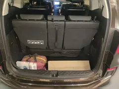 2019 Honda Elysion 2.0L Hybrid Luxury — фото 15