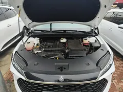 2025 BYD Qin PLUS DM-i PHEV Smart Driving 55km Leading, белый — фото 20