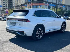 2021 Geely Monjaro 2.0TD DCT EVO 2WD Flagship, белый — фото 7