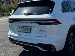 2021 Geely Monjaro 2.0TD DCT EVO 2WD Flagship, белый — фото 26