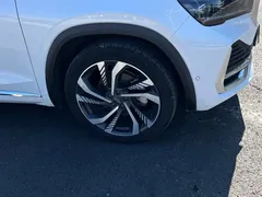 2021 Geely Monjaro 2.0TD DCT EVO 2WD Flagship, белый — фото 30