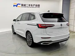 2023 Volkswagen Viloran 380TSI Flagship, белый — фото 18