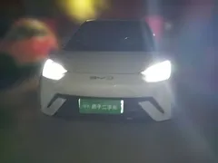2023 BYD Seagull Flying, белый — фото 2