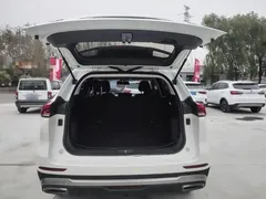 2021 Haval H6 1.5T AT Guochao Urban, белый — фото 19