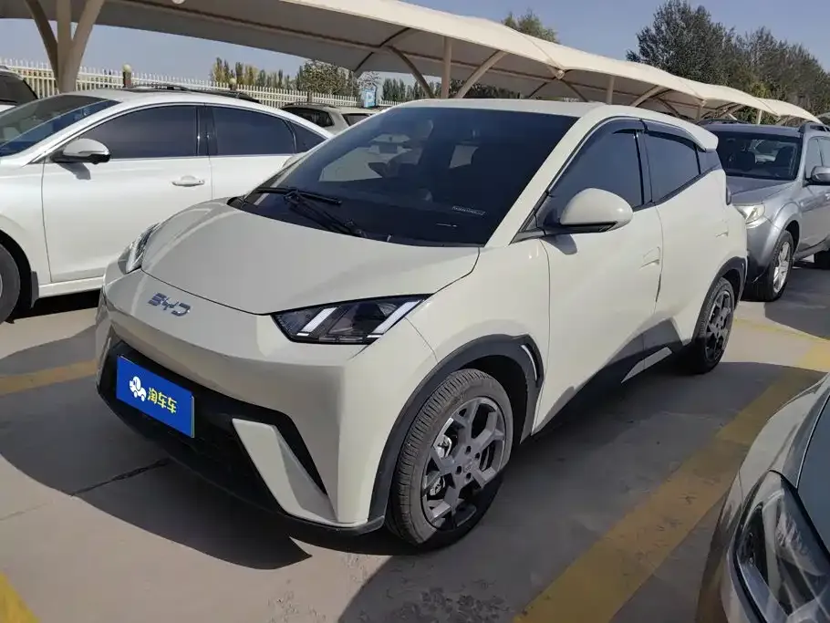 2025 BYD Seagull 305km Freedom