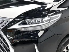 2020 Lexus LM 300h 4, чёрный — фото 5