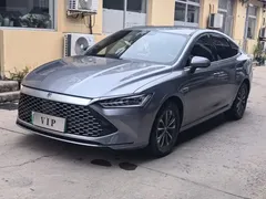 2023 BYD Qin PLUS Champion DM-i PHEV 55KM Leading — фото 1
