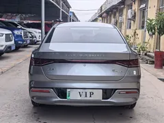 2023 BYD Qin PLUS Champion DM-i PHEV 55KM Leading — фото 3