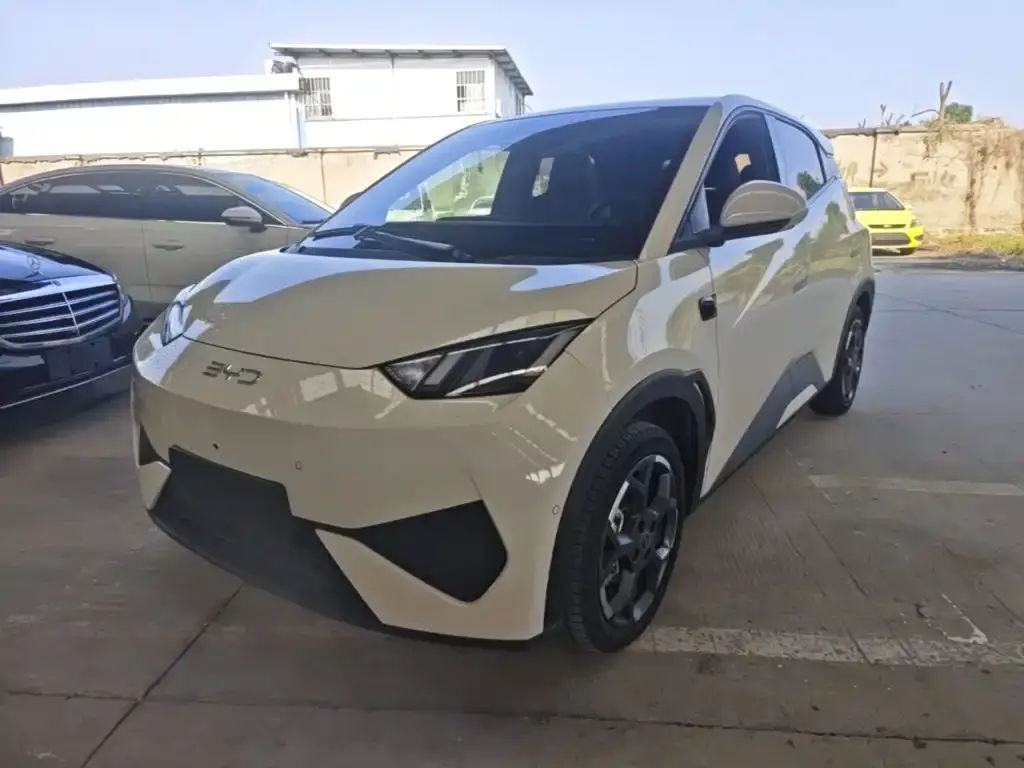 2025 BYD Seagull Smart Driving 305km Freedom