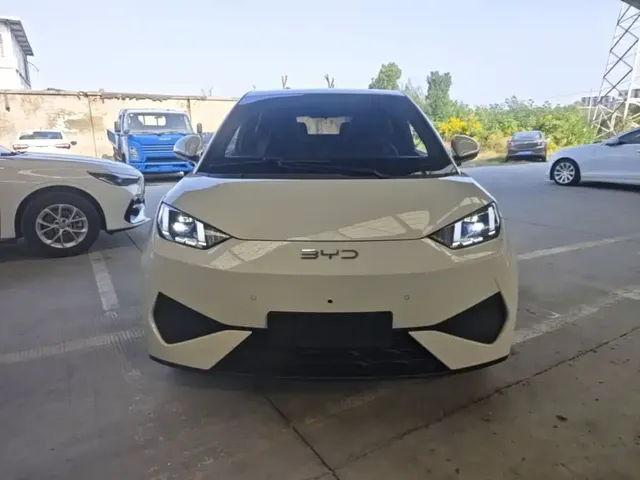 2025 BYD Seagull Smart Driving 305km Freedom
