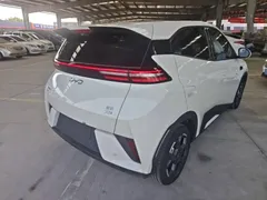 2025 BYD Seagull Smart Driving 305km Freedom, белый — фото 7