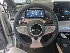 2025 BYD Seagull Smart Driving 305km Freedom, белый — фото 11
